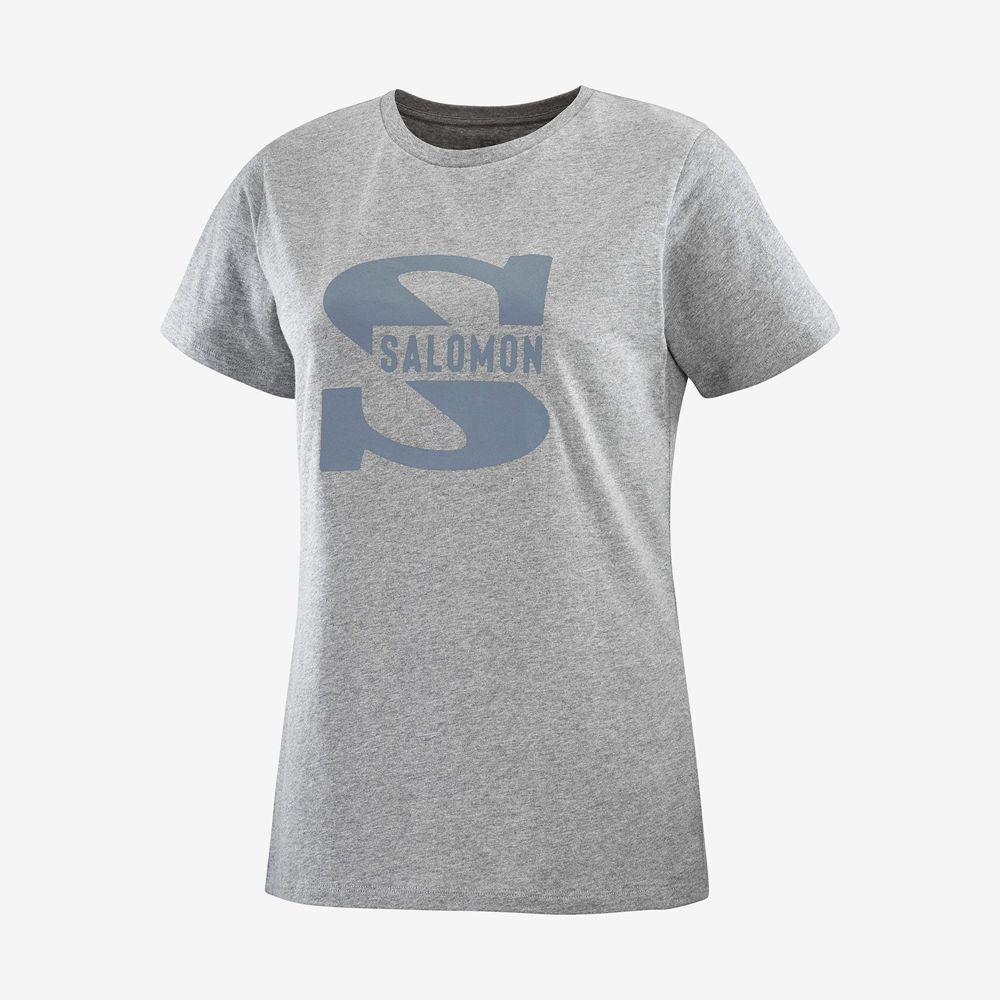 Salomon Singapore Womens T-shirts - OUTLIFE BIG LOGO Mid Grey | 54926-MFKG